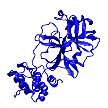 Structure preview of Folding@home molecular dynamics simulations of Diamond Light Source / XChem X-ray structures of small molecule inhibitors of the SARS-CoV-2 main protease from the COVID Moonshot; project 13433, run 96