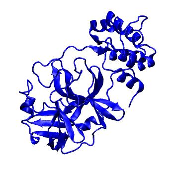 Structure preview of Folding@home molecular dynamics simulations of Diamond Light Source / XChem X-ray structures of small molecule inhibitors of the SARS-CoV-2 main protease from the COVID Moonshot; project 13433, run 99
