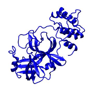Structure preview of Folding@home molecular dynamics simulations of Diamond Light Source / XChem X-ray structures of small molecule inhibitors of the SARS-CoV-2 main protease from the COVID Moonshot; project 13432, run 102