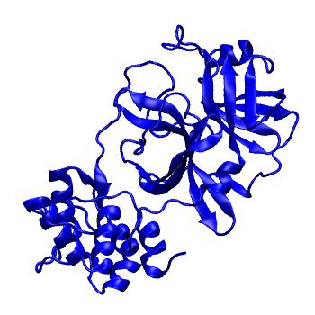 Structure preview of Folding@home molecular dynamics simulations of Diamond Light Source / XChem X-ray structures of small molecule inhibitors of the SARS-CoV-2 main protease from the COVID Moonshot; project 13432, run 109