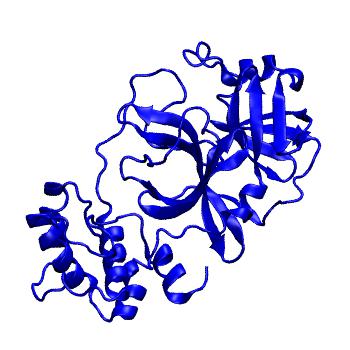 Structure preview of Folding@home molecular dynamics simulations of Diamond Light Source / XChem X-ray structures of small molecule inhibitors of the SARS-CoV-2 main protease from the COVID Moonshot; project 13432, run 110