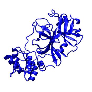 Structure preview of Folding@home molecular dynamics simulations of Diamond Light Source / XChem X-ray structures of small molecule inhibitors of the SARS-CoV-2 main protease from the COVID Moonshot; project 13432, run 111