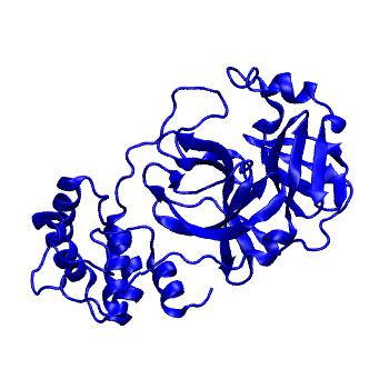 Structure preview of Folding@home molecular dynamics simulations of Diamond Light Source / XChem X-ray structures of small molecule inhibitors of the SARS-CoV-2 main protease from the COVID Moonshot; project 13432, run 113