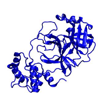 Structure preview of Folding@home molecular dynamics simulations of Diamond Light Source / XChem X-ray structures of small molecule inhibitors of the SARS-CoV-2 main protease from the COVID Moonshot; project 13432, run 115