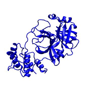 Structure preview of Folding@home molecular dynamics simulations of Diamond Light Source / XChem X-ray structures of small molecule inhibitors of the SARS-CoV-2 main protease from the COVID Moonshot; project 13432, run 117