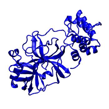 Structure preview of Folding@home molecular dynamics simulations of Diamond Light Source / XChem X-ray structures of small molecule inhibitors of the SARS-CoV-2 main protease from the COVID Moonshot; project 13432, run 118
