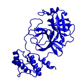 Structure preview of Folding@home molecular dynamics simulations of Diamond Light Source / XChem X-ray structures of small molecule inhibitors of the SARS-CoV-2 main protease from the COVID Moonshot; project 13432, run 119