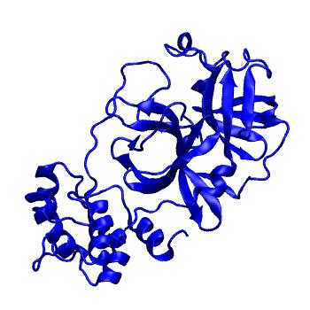 Structure preview of Folding@home molecular dynamics simulations of Diamond Light Source / XChem X-ray structures of small molecule inhibitors of the SARS-CoV-2 main protease from the COVID Moonshot; project 13432, run 121