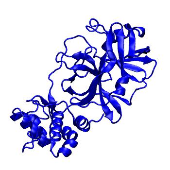 Structure preview of Folding@home molecular dynamics simulations of Diamond Light Source / XChem X-ray structures of small molecule inhibitors of the SARS-CoV-2 main protease from the COVID Moonshot; project 13432, run 130