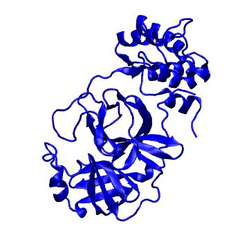 Structure preview of Folding@home molecular dynamics simulations of Diamond Light Source / XChem X-ray structures of small molecule inhibitors of the SARS-CoV-2 main protease from the COVID Moonshot; project 13432, run 131