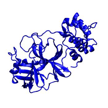 Structure preview of Folding@home molecular dynamics simulations of Diamond Light Source / XChem X-ray structures of small molecule inhibitors of the SARS-CoV-2 main protease from the COVID Moonshot; project 13432, run 132