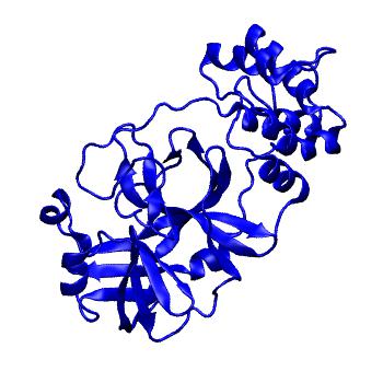 Structure preview of Folding@home molecular dynamics simulations of Diamond Light Source / XChem X-ray structures of small molecule inhibitors of the SARS-CoV-2 main protease from the COVID Moonshot; project 13432, run 133