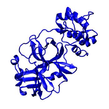 Structure preview of Folding@home molecular dynamics simulations of Diamond Light Source / XChem X-ray structures of small molecule inhibitors of the SARS-CoV-2 main protease from the COVID Moonshot; project 13432, run 134