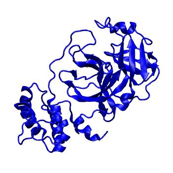 Structure preview of Folding@home molecular dynamics simulations of Diamond Light Source / XChem X-ray structures of small molecule inhibitors of the SARS-CoV-2 main protease from the COVID Moonshot; project 13432, run 137