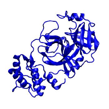 Structure preview of Folding@home molecular dynamics simulations of Diamond Light Source / XChem X-ray structures of small molecule inhibitors of the SARS-CoV-2 main protease from the COVID Moonshot; project 13432, run 143