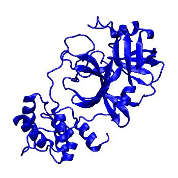 Structure preview of Folding@home molecular dynamics simulations of Diamond Light Source / XChem X-ray structures of small molecule inhibitors of the SARS-CoV-2 main protease from the COVID Moonshot; project 13432, run 144