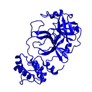 Structure preview of Folding@home molecular dynamics simulations of Diamond Light Source / XChem X-ray structures of small molecule inhibitors of the SARS-CoV-2 main protease from the COVID Moonshot; project 13432, run 146