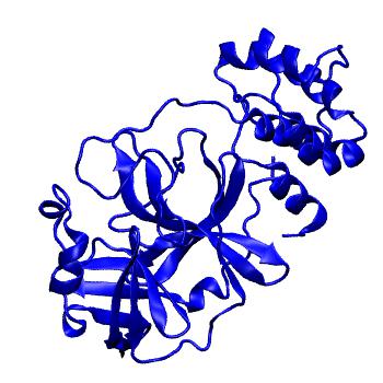 Structure preview of Folding@home molecular dynamics simulations of Diamond Light Source / XChem X-ray structures of small molecule inhibitors of the SARS-CoV-2 main protease from the COVID Moonshot; project 13432, run 148