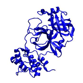 Structure preview of Folding@home molecular dynamics simulations of Diamond Light Source / XChem X-ray structures of small molecule inhibitors of the SARS-CoV-2 main protease from the COVID Moonshot; project 13432, run 149