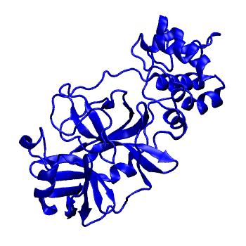 Structure preview of Folding@home molecular dynamics simulations of Diamond Light Source / XChem X-ray structures of small molecule inhibitors of the SARS-CoV-2 main protease from the COVID Moonshot; project 13432, run 14