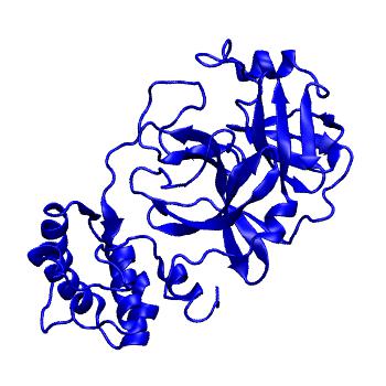 Structure preview of Folding@home molecular dynamics simulations of Diamond Light Source / XChem X-ray structures of small molecule inhibitors of the SARS-CoV-2 main protease from the COVID Moonshot; project 13432, run 153
