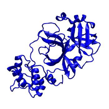 Structure preview of Folding@home molecular dynamics simulations of Diamond Light Source / XChem X-ray structures of small molecule inhibitors of the SARS-CoV-2 main protease from the COVID Moonshot; project 13432, run 155