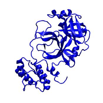 Structure preview of Folding@home molecular dynamics simulations of Diamond Light Source / XChem X-ray structures of small molecule inhibitors of the SARS-CoV-2 main protease from the COVID Moonshot; project 13432, run 156