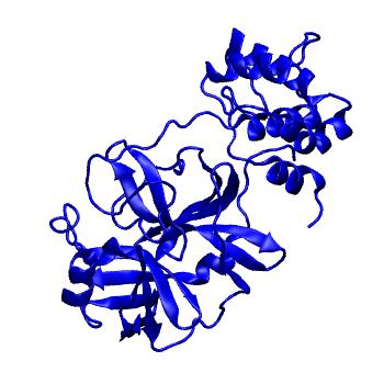 Structure preview of Folding@home molecular dynamics simulations of Diamond Light Source / XChem X-ray structures of small molecule inhibitors of the SARS-CoV-2 main protease from the COVID Moonshot; project 13432, run 157