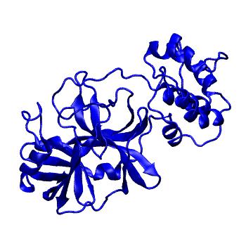Structure preview of Folding@home molecular dynamics simulations of Diamond Light Source / XChem X-ray structures of small molecule inhibitors of the SARS-CoV-2 main protease from the COVID Moonshot; project 13432, run 158