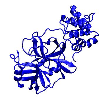 Structure preview of Folding@home molecular dynamics simulations of Diamond Light Source / XChem X-ray structures of small molecule inhibitors of the SARS-CoV-2 main protease from the COVID Moonshot; project 13432, run 15