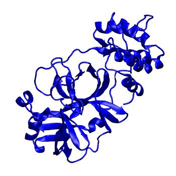 Structure preview of Folding@home molecular dynamics simulations of Diamond Light Source / XChem X-ray structures of small molecule inhibitors of the SARS-CoV-2 main protease from the COVID Moonshot; project 13432, run 170