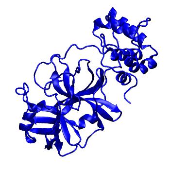 Structure preview of Folding@home molecular dynamics simulations of Diamond Light Source / XChem X-ray structures of small molecule inhibitors of the SARS-CoV-2 main protease from the COVID Moonshot; project 13432, run 172