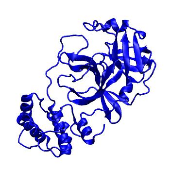 Structure preview of Folding@home molecular dynamics simulations of Diamond Light Source / XChem X-ray structures of small molecule inhibitors of the SARS-CoV-2 main protease from the COVID Moonshot; project 13432, run 174