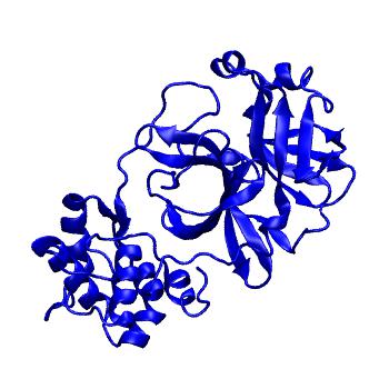 Structure preview of Folding@home molecular dynamics simulations of Diamond Light Source / XChem X-ray structures of small molecule inhibitors of the SARS-CoV-2 main protease from the COVID Moonshot; project 13432, run 175