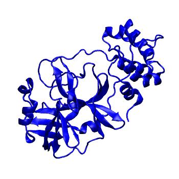 Structure preview of Folding@home molecular dynamics simulations of Diamond Light Source / XChem X-ray structures of small molecule inhibitors of the SARS-CoV-2 main protease from the COVID Moonshot; project 13432, run 179