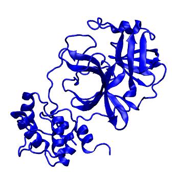 Structure preview of Folding@home molecular dynamics simulations of Diamond Light Source / XChem X-ray structures of small molecule inhibitors of the SARS-CoV-2 main protease from the COVID Moonshot; project 13432, run 188