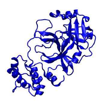 Structure preview of Folding@home molecular dynamics simulations of Diamond Light Source / XChem X-ray structures of small molecule inhibitors of the SARS-CoV-2 main protease from the COVID Moonshot; project 13432, run 191