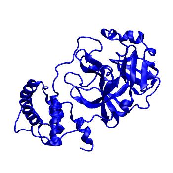 Structure preview of Folding@home molecular dynamics simulations of Diamond Light Source / XChem X-ray structures of small molecule inhibitors of the SARS-CoV-2 main protease from the COVID Moonshot; project 13432, run 194