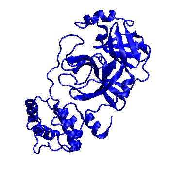 Structure preview of Folding@home molecular dynamics simulations of Diamond Light Source / XChem X-ray structures of small molecule inhibitors of the SARS-CoV-2 main protease from the COVID Moonshot; project 13432, run 195
