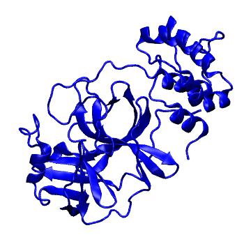 Structure preview of Folding@home molecular dynamics simulations of Diamond Light Source / XChem X-ray structures of small molecule inhibitors of the SARS-CoV-2 main protease from the COVID Moonshot; project 13432, run 1