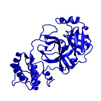 Structure preview of Folding@home molecular dynamics simulations of Diamond Light Source / XChem X-ray structures of small molecule inhibitors of the SARS-CoV-2 main protease from the COVID Moonshot; project 13432, run 200