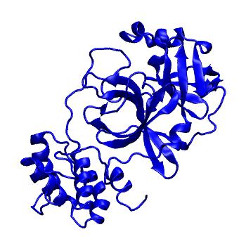 Structure preview of Folding@home molecular dynamics simulations of Diamond Light Source / XChem X-ray structures of small molecule inhibitors of the SARS-CoV-2 main protease from the COVID Moonshot; project 13432, run 205