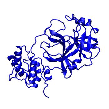 Structure preview of Folding@home molecular dynamics simulations of Diamond Light Source / XChem X-ray structures of small molecule inhibitors of the SARS-CoV-2 main protease from the COVID Moonshot; project 13432, run 209