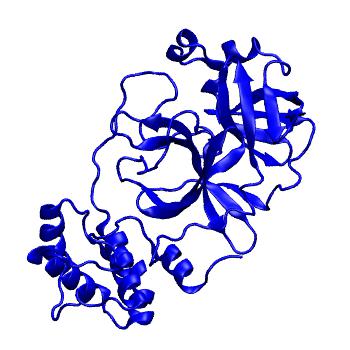Structure preview of Folding@home molecular dynamics simulations of Diamond Light Source / XChem X-ray structures of small molecule inhibitors of the SARS-CoV-2 main protease from the COVID Moonshot; project 13432, run 213