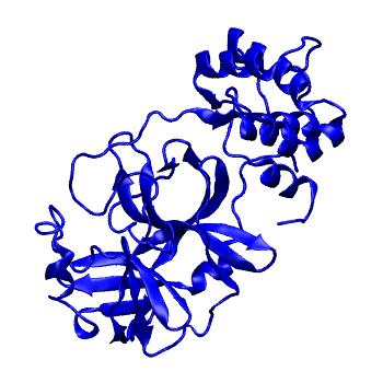 Structure preview of Folding@home molecular dynamics simulations of Diamond Light Source / XChem X-ray structures of small molecule inhibitors of the SARS-CoV-2 main protease from the COVID Moonshot; project 13432, run 21