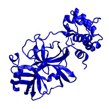 Structure preview of Folding@home molecular dynamics simulations of Diamond Light Source / XChem X-ray structures of small molecule inhibitors of the SARS-CoV-2 main protease from the COVID Moonshot; project 13432, run 220