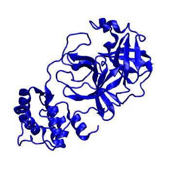 Structure preview of Folding@home molecular dynamics simulations of Diamond Light Source / XChem X-ray structures of small molecule inhibitors of the SARS-CoV-2 main protease from the COVID Moonshot; project 13432, run 221