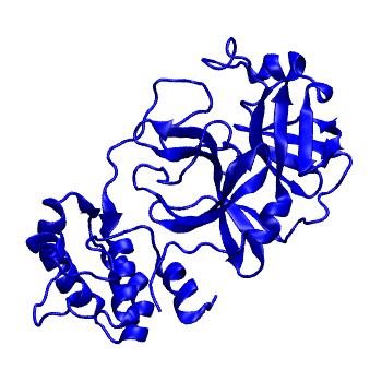 Structure preview of Folding@home molecular dynamics simulations of Diamond Light Source / XChem X-ray structures of small molecule inhibitors of the SARS-CoV-2 main protease from the COVID Moonshot; project 13432, run 223