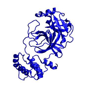 Structure preview of Folding@home molecular dynamics simulations of Diamond Light Source / XChem X-ray structures of small molecule inhibitors of the SARS-CoV-2 main protease from the COVID Moonshot; project 13432, run 225