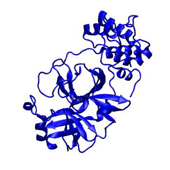 Structure preview of Folding@home molecular dynamics simulations of Diamond Light Source / XChem X-ray structures of small molecule inhibitors of the SARS-CoV-2 main protease from the COVID Moonshot; project 13432, run 226